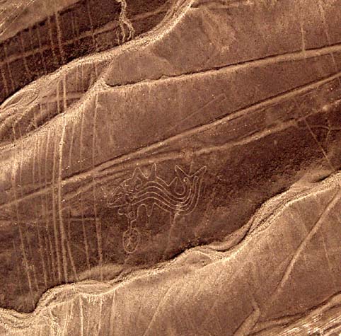 Nazca lines surrounding shark carrying trophy head