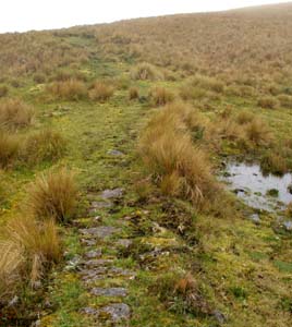 Second sight of incan building - a ten foot section of road