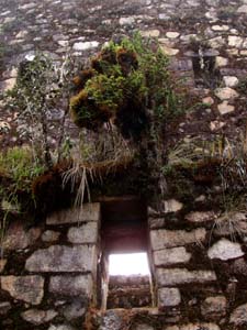 View up through the second story inside window, one of the only openings between the front and back halves