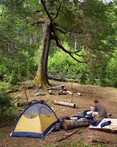 A rangers camp in the forest