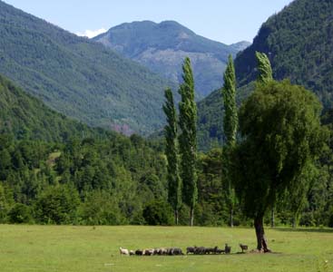 View from tht T-junction towards Torrentoso