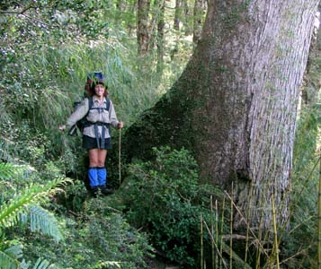 Dana next to a large rainforest tree