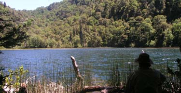 Small lake in the rainforest