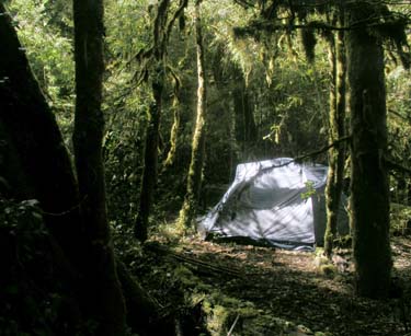 Camping at the path junction, east side of the river