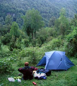 Camping in the raspberries