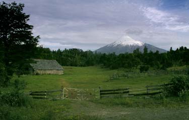 Volcan Osorno filling the horizon behind a local farm