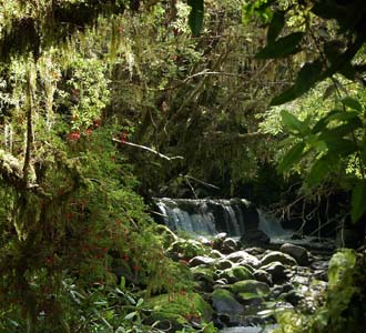 Waterfall past first road junction