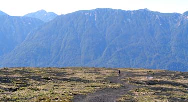 Edge of the plateau before heading down to Lago Todos los Santos