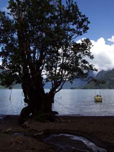 Chilcon landing on Lago Todos los Santos