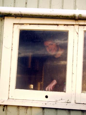 Five year in the window of Long Harry hut